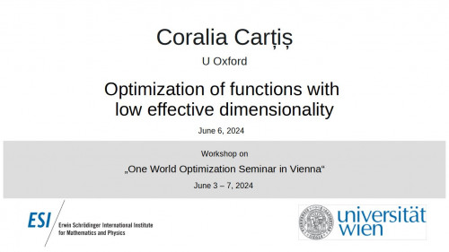 Preview of Coralia Carțiș - Optimization of functions with low effective dimensionality