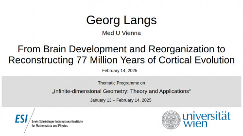 Preview of Georg Langs - From Brain Development and Reorganization to Reconstructing 77 Million Years of Cortical Evolution