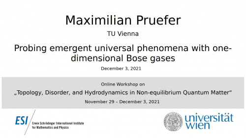 Preview of Maximilian Pruefer - Probing emergent universal phenomena with one-dimensional Bose gases