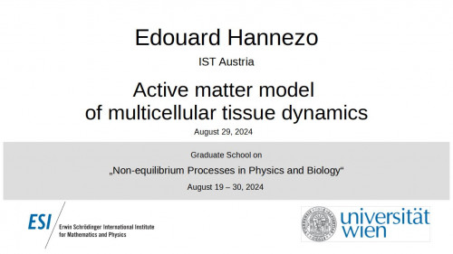 Preview of Edouard Hannezo - Active matter model of multicellular tissue dynamics