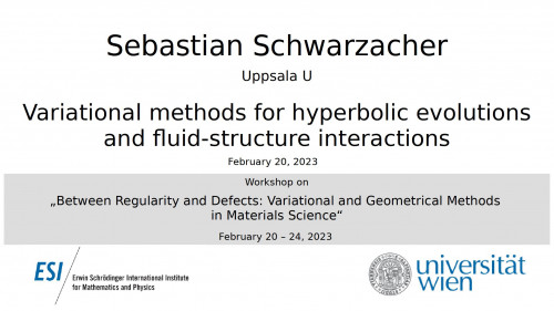 Preview of Sebastian Schwarzacher - Variational methods for hyperbolic evolutions and fluid-structure interactions