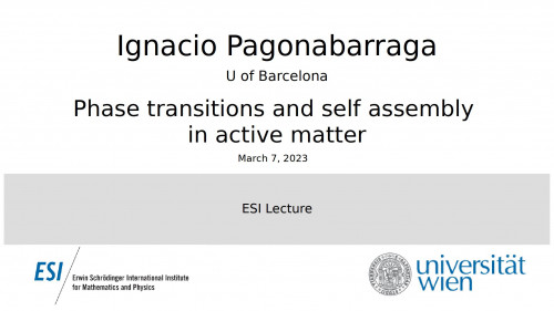Preview of Ignacio Pagonabarraga - Phase transitions and self assembly in active matter