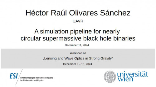 Preview of Héctor Raúl Olivares Sánchez - A simulation pipeline for nearly circular supermassive black hole binaries