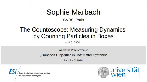 Preview of Sophie Marbach - The Countoscope: Measuring Dynamics by Counting Particles in Boxes