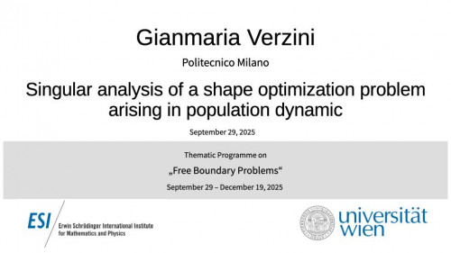 Preview of Gianmaria Verzini - Singular analysis of a shape optimization problem arising in population dynamic
