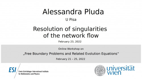 Preview of Alessandra Pluda - Resolution of singularities of the network flow