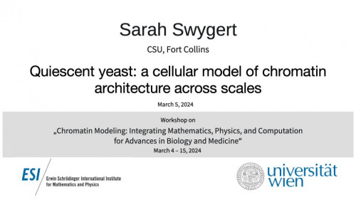 Preview of Sarah Swygert - Quiescent yeast: a cellular model of chromatin architecture across scales