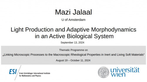 Preview of Mazi Jalaal - Light Production and Adaptive Morphodynamics in an Active Biological System