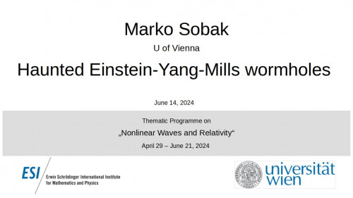 Preview of Marko Sobak - Haunted Einstein-Yang-Mills wormholes