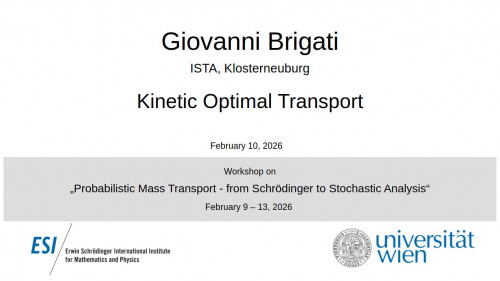 Preview of Giovanni Brigati - Kinetic Optimal Transport