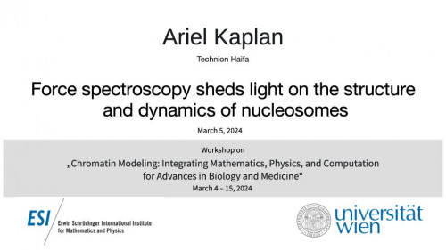 Preview of Ariel Kaplan - Force spectroscopy sheds light on the structure and dynamics of nucleosomes