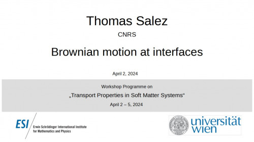 Preview of Thomas Salez - Brownian motion at interfaces