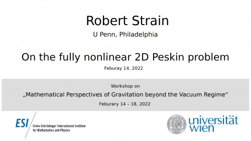 Preview of Robert Strain - On the fully nonlinear 2D Peskin problem