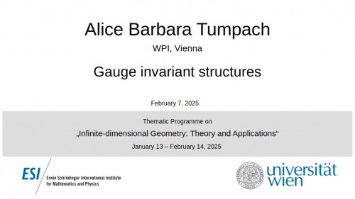 Preview of Barbara Tumpach - Gauge invariant structures