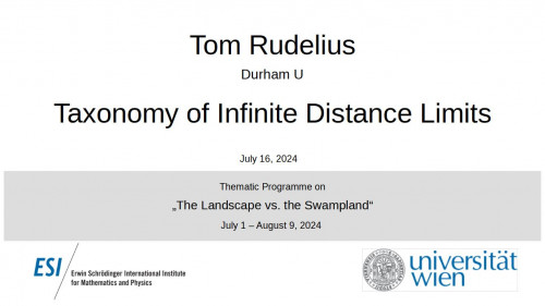 Preview of Tom Rudelius - Taxonomy of Infinite Distance Limits