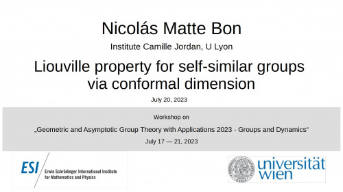 Preview of Nicolás Matte Bon - Liouville property for self-similar groups via conformal dimension