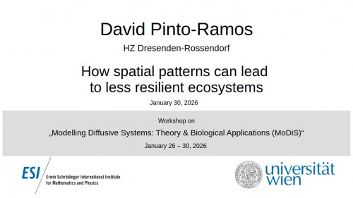 Preview of David Pinto-Ramos - How spatial patterns can lead to less resilient ecosystems
