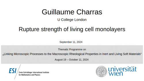 Preview of Guillaume Charras - Rupture strength of living cell monolayers