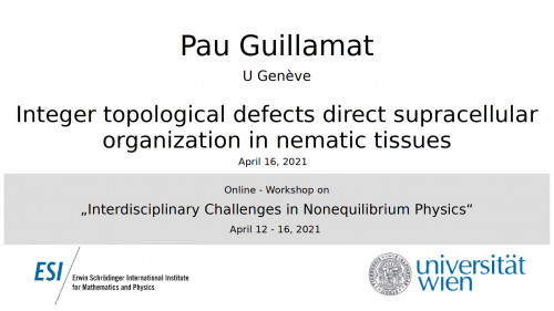 Preview of Integer topological defects direct supracellular organization in nematic tissues