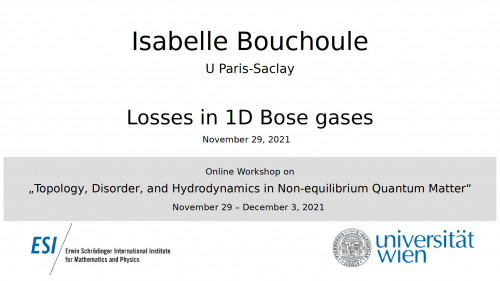 Preview of Isabelle Bouchoule - Losses in 1D Bose gases