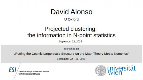 Preview of David Alonso - Projected clustering: the information in N-point statistics