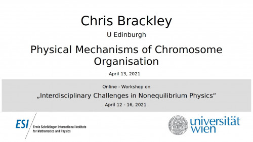 Preview of Physical Mechanisms of Chromosome Organisation