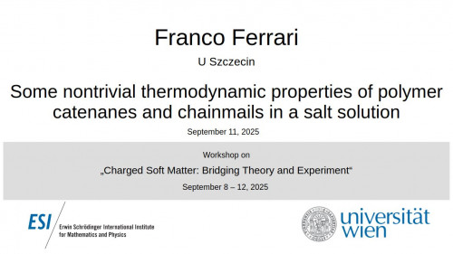 Preview of Franco Ferrari - Some nontrivial thermodynamic properties of polymer catenanes and chainmails in a salt solution