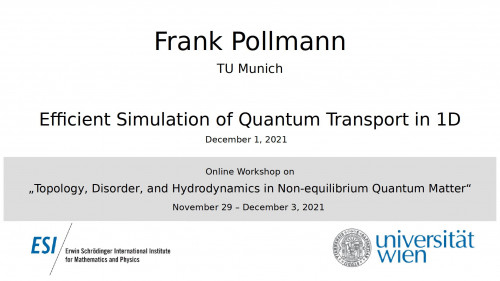 Preview of Frank Pollmann - Efficient Simulation of Quantum Transport in 1D