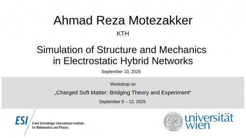 Preview of Ahmad Reza Motezakker - Simulation of Structure and Mechanics in Electrostatic Hybrid Networks