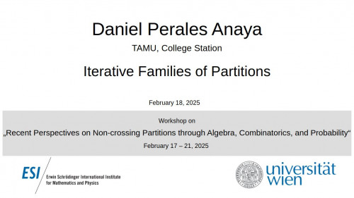Preview of Daniel Perales Anaya - Iterative Families of Partitions