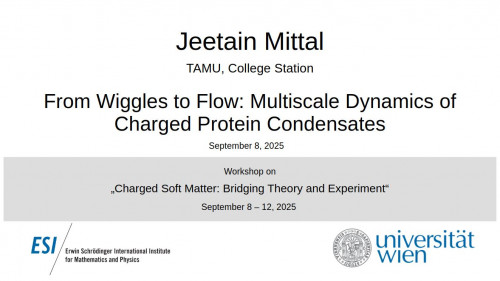 Preview of Jeetain Mittal - From Wiggles to Flow: Multiscale Dynamics of Charged Protein Condensates