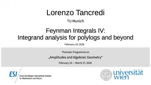 Preview of Lorenzo Tancredi - Feynman Integrals IV: Integrand analysis for polylogs and beyond