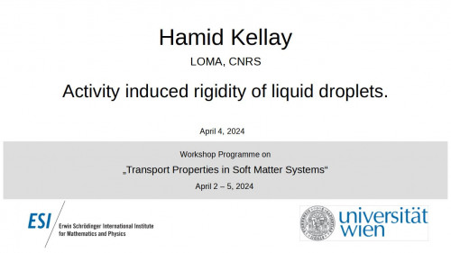Preview of Hamid Kellay - Activity induced rigidity of liquid droplets.