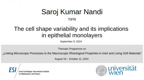 Preview of Saroj Kumar Nandi - The cell shape variability and its implications in epithelial monolayers