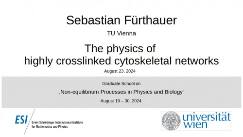Preview of Sebastian Fürthauer - The physics of highly crosslinked cytoskeletal networks