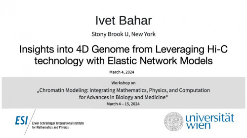 Preview of Ivet Bahar - Insights into 4D Genome from Leveraging Hi-C technology with Elastic Network Models