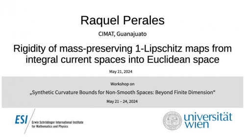 Preview of Raquel Perales - Rigidity of mass-preserving 1-Lipschitz maps from integral current spaces into Euclidean space