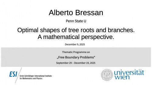 Preview of Alberto Bressan - Optimal shapes of tree roots and branches. A mathematical perspective.