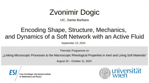 Preview of Zvonimir Dogic - Encoding Shape, Structure, Mechanics, and Dynamics of a Soft Network with an Active Fluid