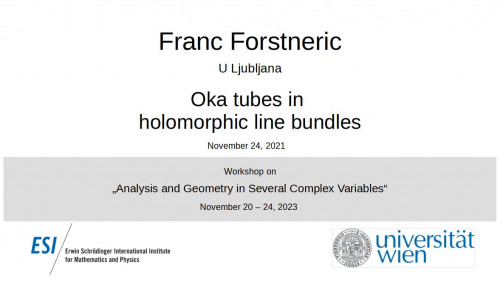Preview of Franc Forstneric - Oka tubes in holomorphic line bundles
