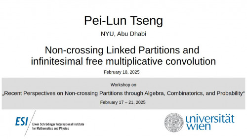 Preview of Pei-Lun Tseng - Non-crossing Linked Partitions and infinitesimal free multiplicative convolution