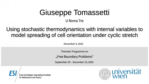 Preview of Giuseppe Tomassetti - Using stochastic thermodynamics with internal variables to model spreading of cell orientation under cyclic stretch