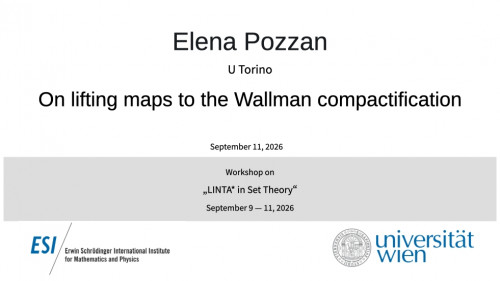 Preview of Elena Pozzan - On lifting maps to the Wallman compactification