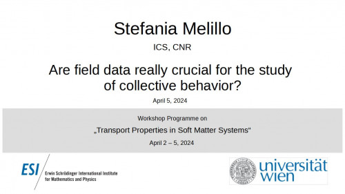 Preview of Stefania Melillo - Are field data really crucial for the study of collective behavior?