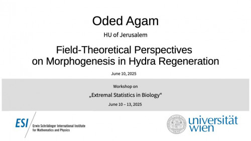 Preview of Oded Agam - Field-Theoretical Perspectives on Morphogenesis in Hydra Regeneration