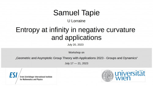 Preview of Samuel Tapie - Entropy at infinity in negative curvature and applications