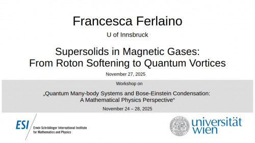 Preview of Francesca Ferlaino - Supersolids in Magnetic Gases: From Roton Softening to Quantum Vortices