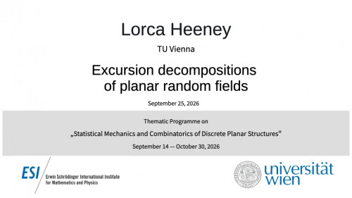Preview of Lorca Heeney - Excursion decompositions of planar random fields