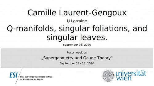 Preview of Camille Laurent-Gengoux - Q-manifolds, singular foliations, and singular leaves.