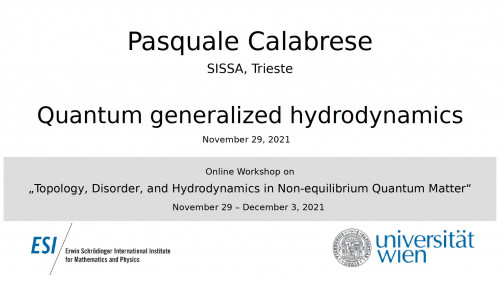 Preview of Pasquale Calabrese - Quantum generalized hydrodynamics